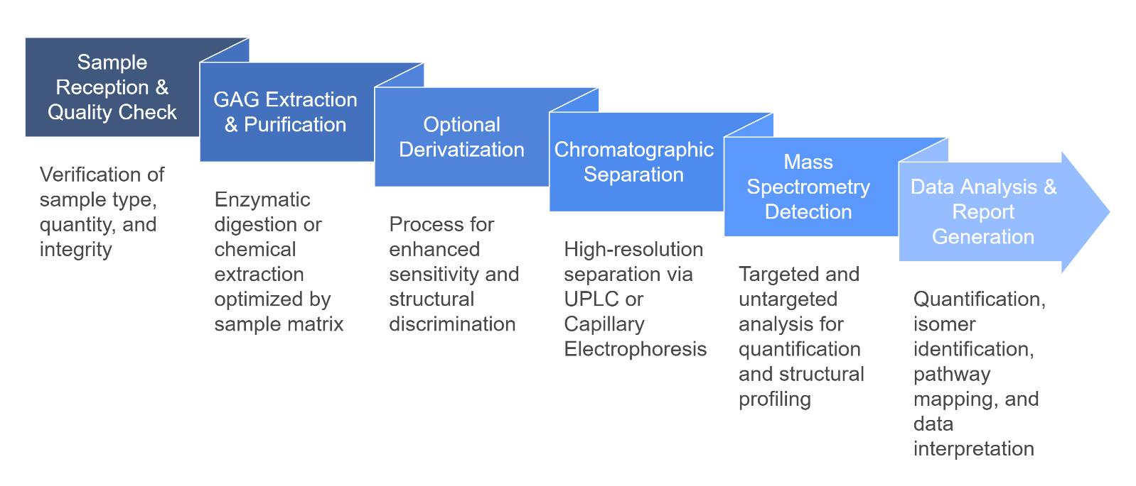 Glycosaminoglycans Analysis Process