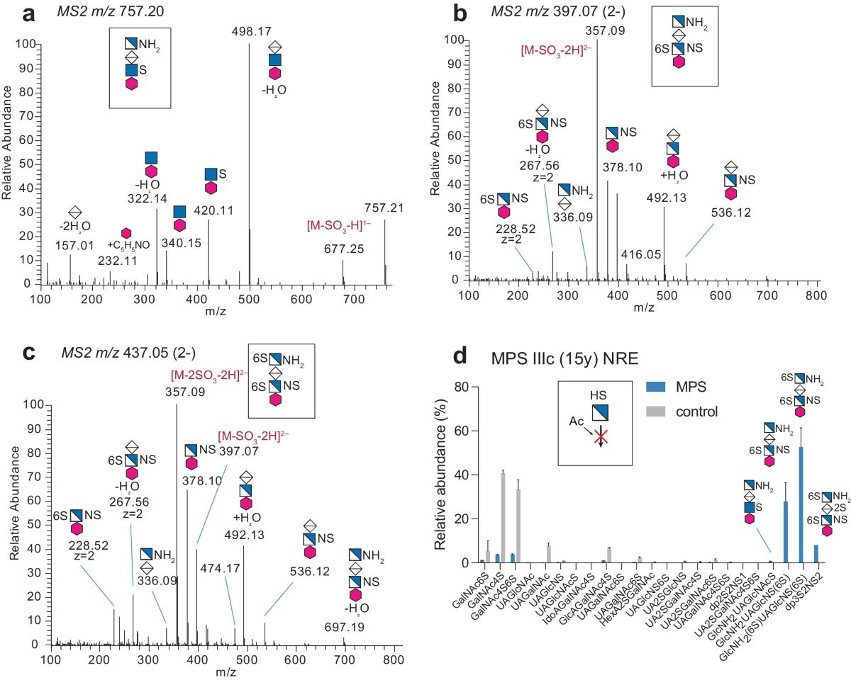 LC–MS/MS of GAG-NRE disaccharide (dp2) glycoforms.