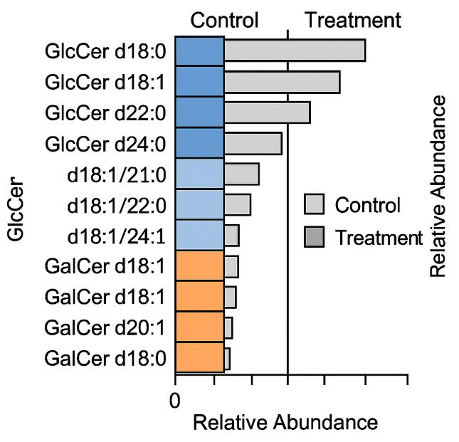 Bar chart comparing GlcCer and GalCer species between control and treatment, showing molecular species-resolved quantification.