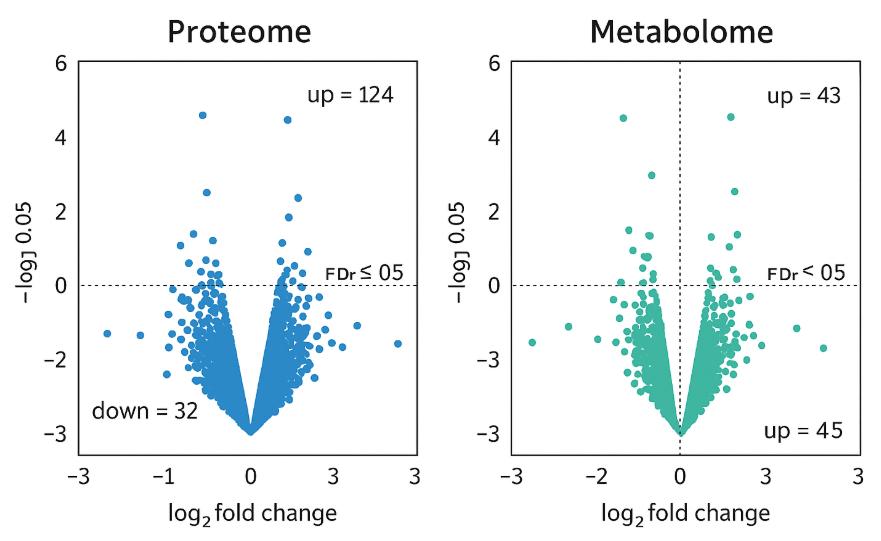 Proteome and metabolome volcano plots with significance thresholds