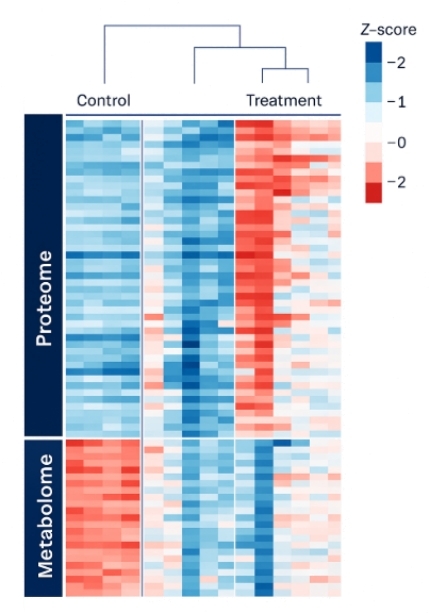 Heatmap showing clustered proteome and metabolome expression across control and treatment groups