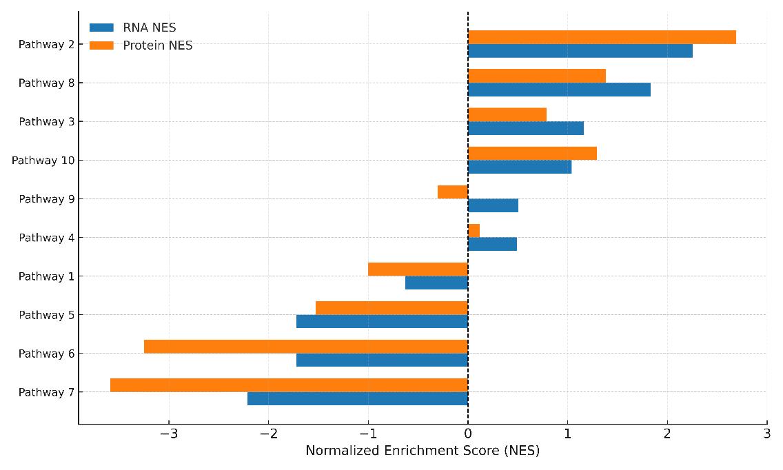Horizontal bar chart comparing RNA and protein enrichment scores across pathways, showing concordant and divergent activity patterns.