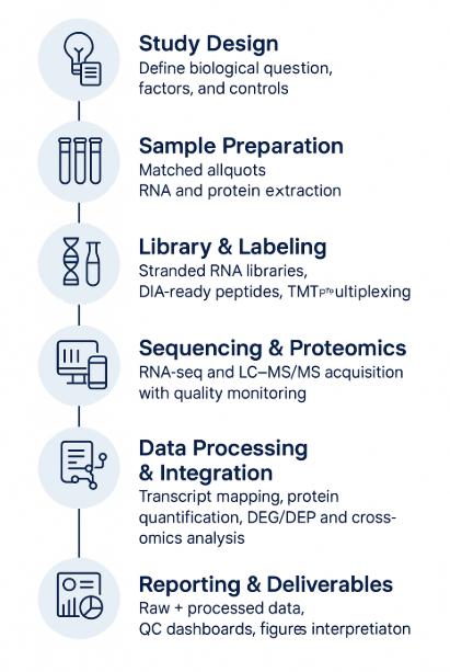 Integrated Transcriptomic and Proteomic Analysis Workflow