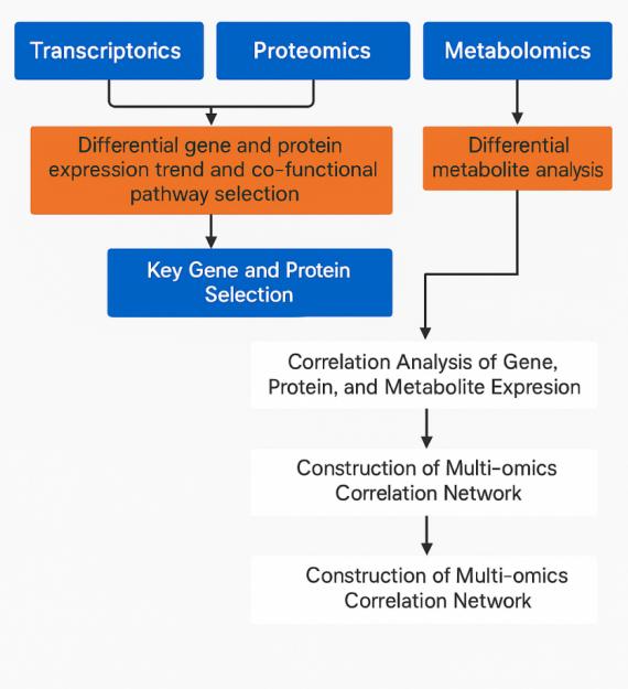 Joint Analysis Strategy of Transcriptomic, Proteomic, and Metabolomic