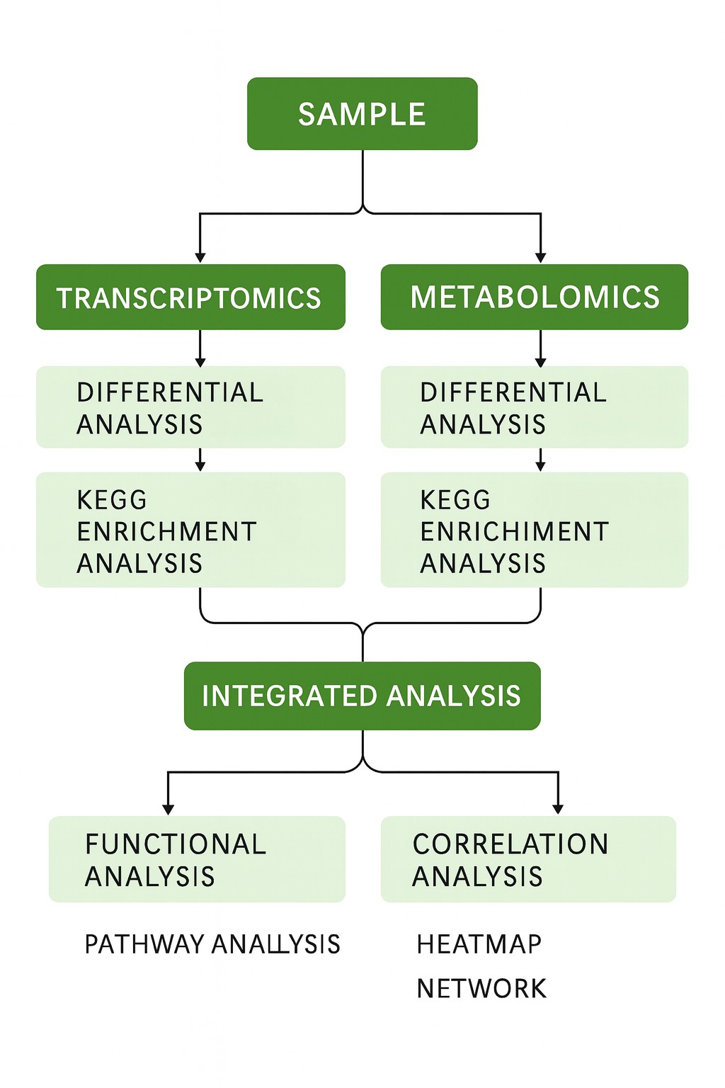 Integrated transcriptomics and metabolomics analysis workflow diagram showing RNA-seq, LC/GC-MS, KEGG enrichment, pathway and correlation analysis