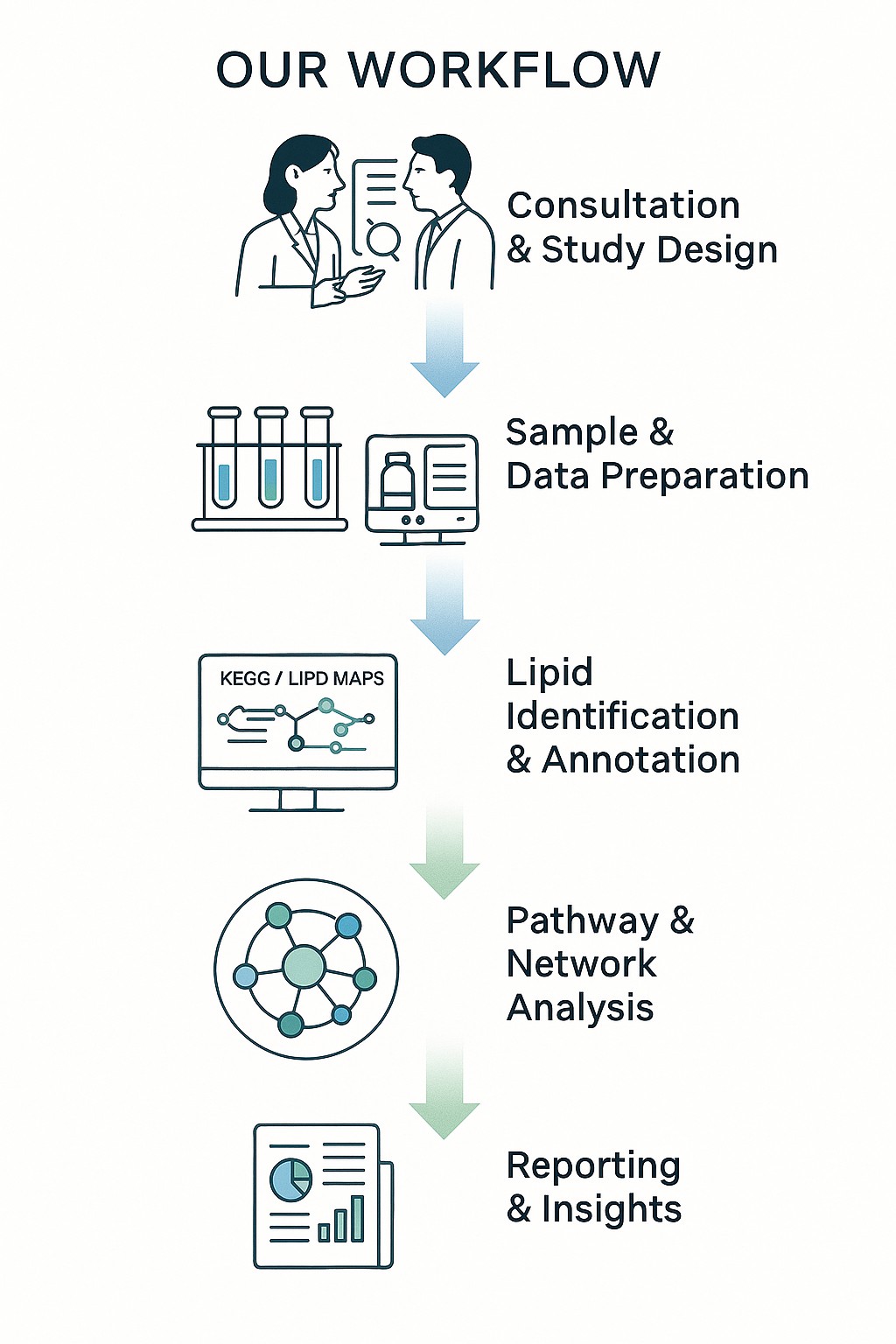 Vertical workflow infographic showing five steps of lipidomics pathway analysis: consultation, data preparation, lipid annotation, pathway analysis, and reporting.