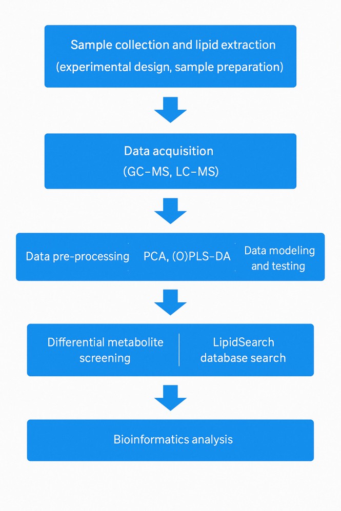 Lipidomics Data Analysis Process