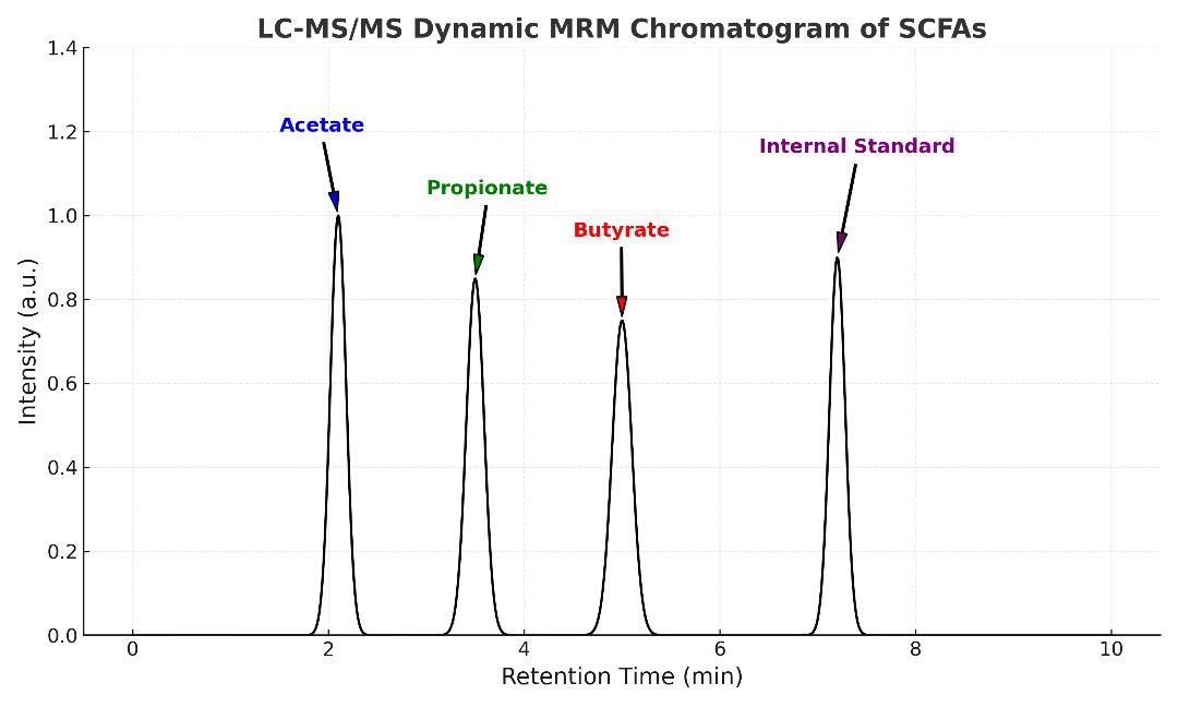 LC-MS/MS dynamic MRM chromatogram showing acetate, propionate, butyrate, and internal standard peaks with labeled retention times.