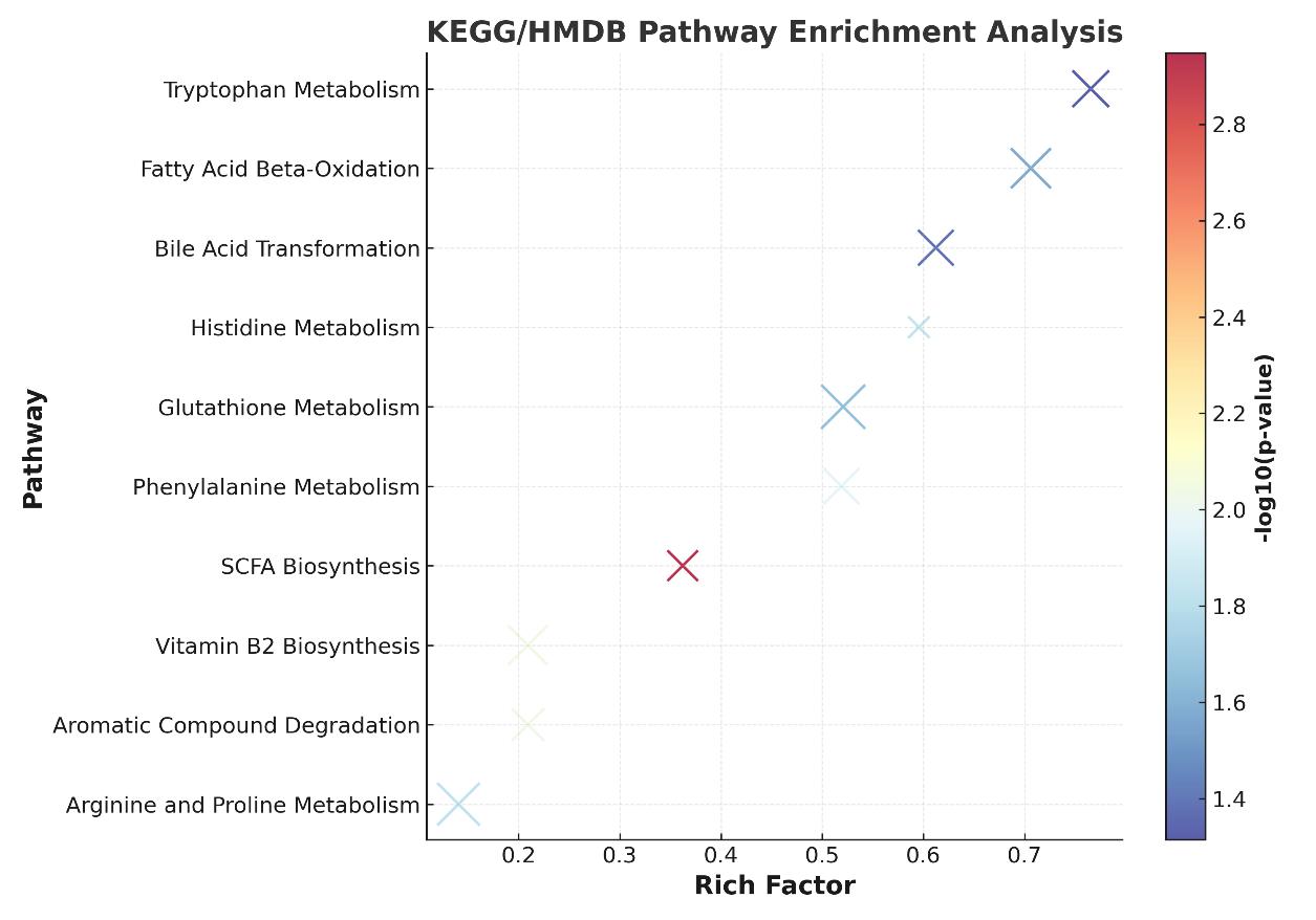 KEGG/HMDB pathway enrichment bubble chart showing rich factor, metabolite counts, and statistical significance.