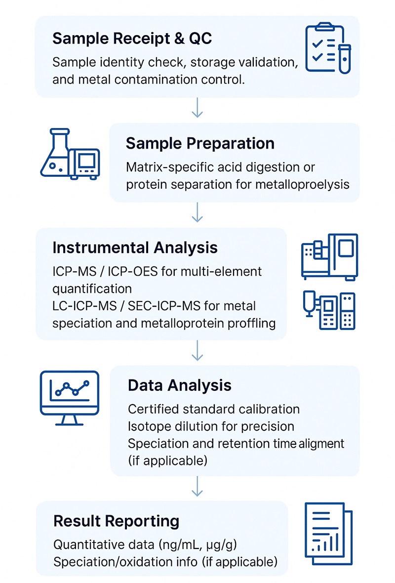 Metallomics Assay Workflow