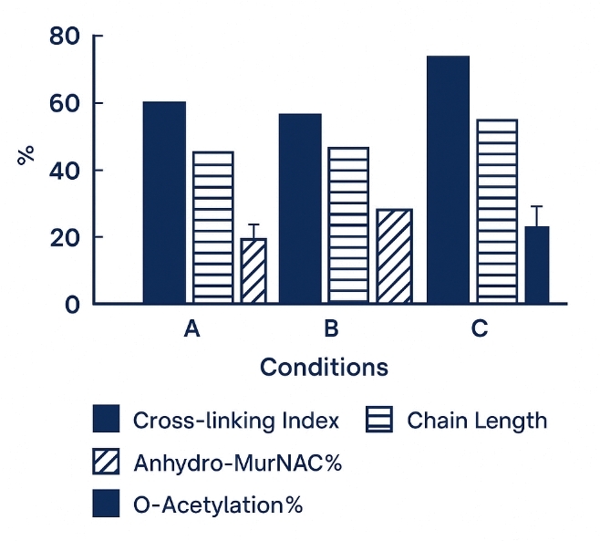 Bar chart of peptidoglycan metrics across conditions A, B, and C showing structural variation.