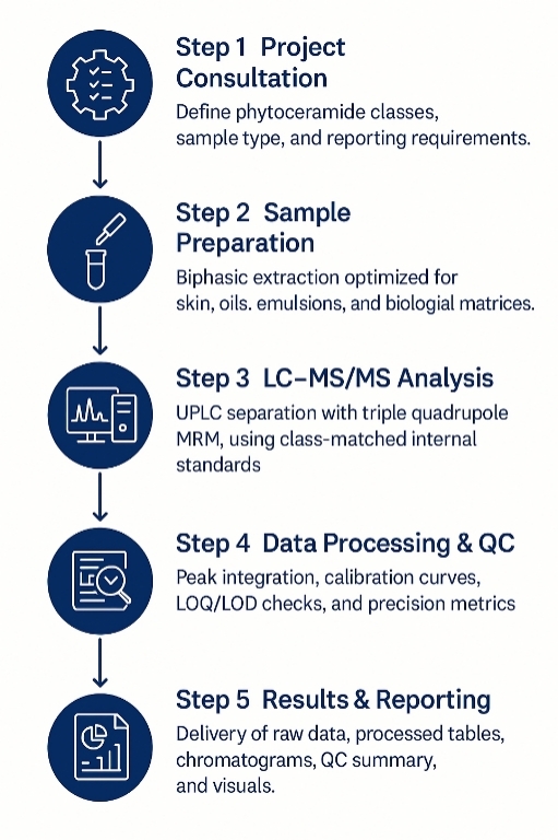 Peptidoglycan Structure Analysis Workflow