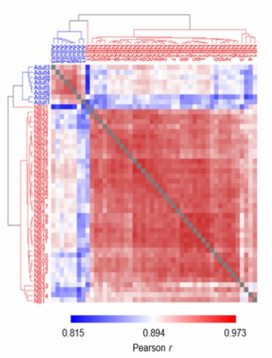 Heatmap depicting Pearson correlation analysis among samples.