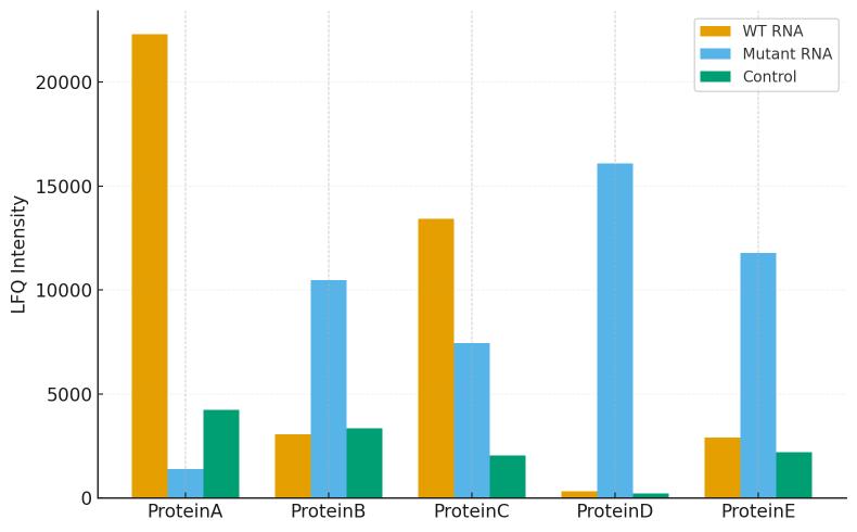 Bar plot comparing protein abundance across different RNA pull-down conditions.