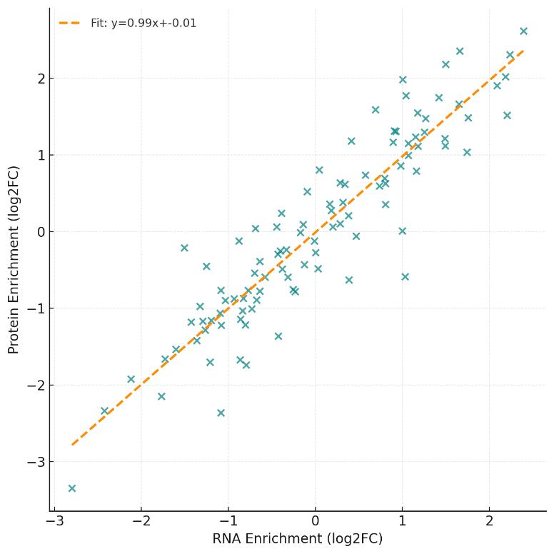 Scatter plot of RNA versus protein enrichment with fitted regression line and annotated Pearson correlation.