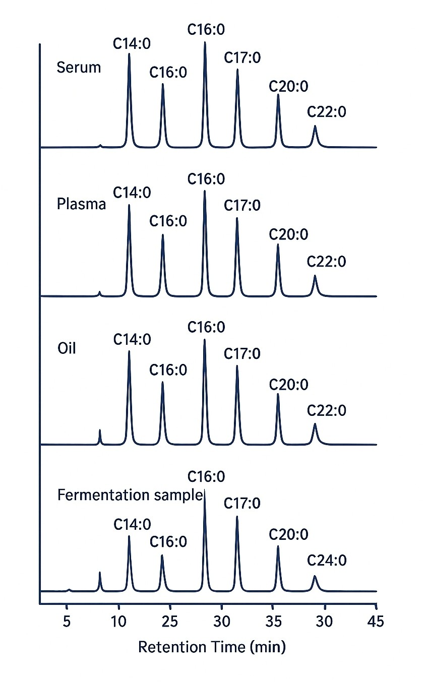 GC chromatograms displaying peaks of saturated fatty acids in different sample types.