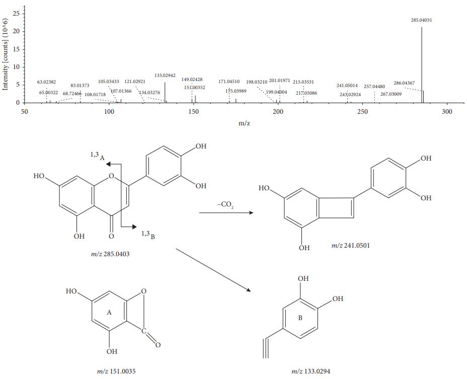 MS/MS spectrum and the fragmentation pathway of luteolin.
