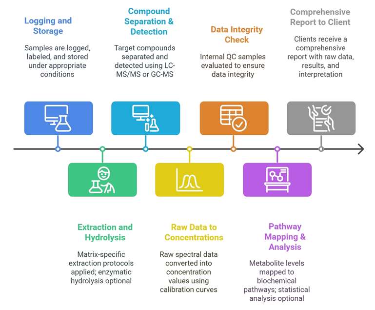 Sorbitol Analysis Workflow