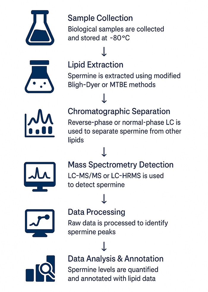 Spermine Analysis Process