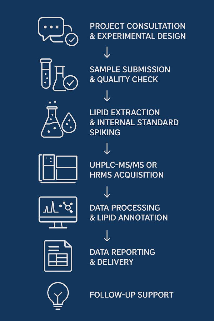 Sphingolipids Analysis Workflow