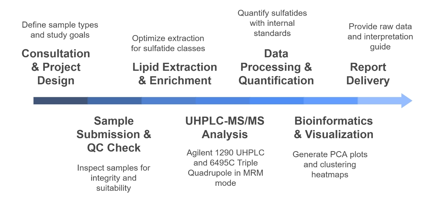Sulfatide Analysis Process