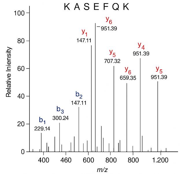 MS/MS spectrum of peptide KASEFQK with labeled b- and y-ions and intensity profile.