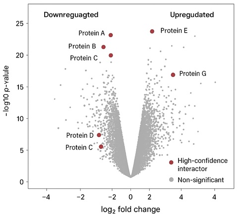Volcano plot showing log₂ fold change vs. –log₁₀ p-value, highlighting significant interactors.