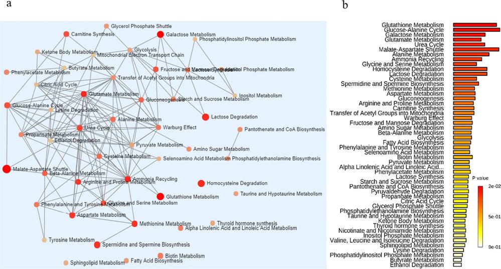 LC–MS/MS of GAG-NRE disaccharide (dp2) glycoforms.