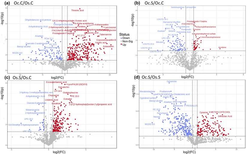 Volcano plots representing significantly modulated metabolites in comparison groups