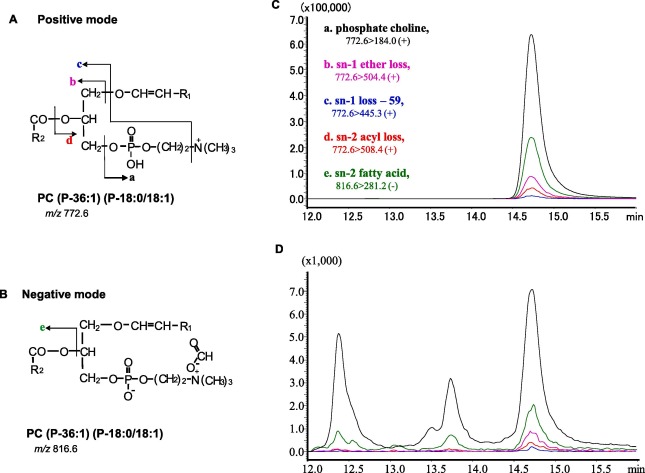 Identification of PC (P-36:1) (P-18:0/18:1) by LC-targeted multiplexed SRM/MS