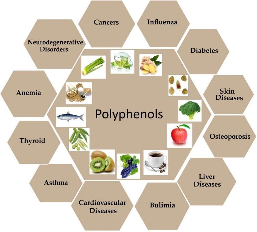Polyphenols and overall well-being.