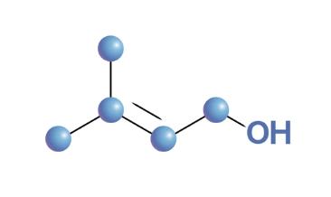 Prenols: Structure, Classification, Biosynthesis, and Applications