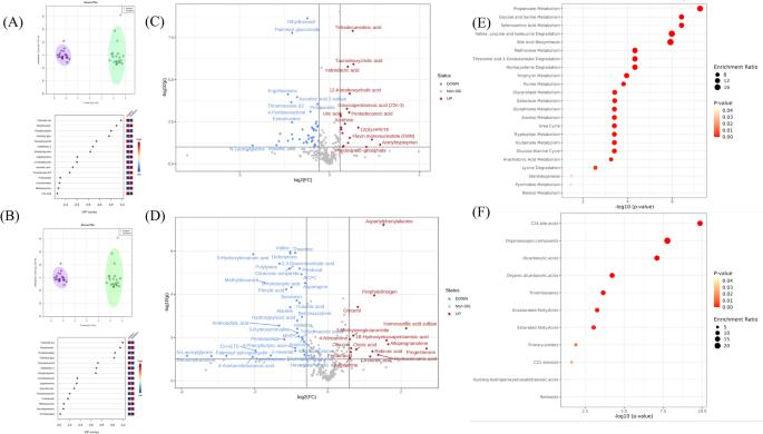 Comparison of serum metabolome profiles between eastern and southern black rhinoceros subspecies, focusing on differences relative to the eastern subspecies.
