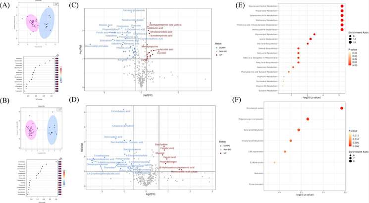 Comparison of serum metabolome profiles between sexes, highlighting differences relative to females.
