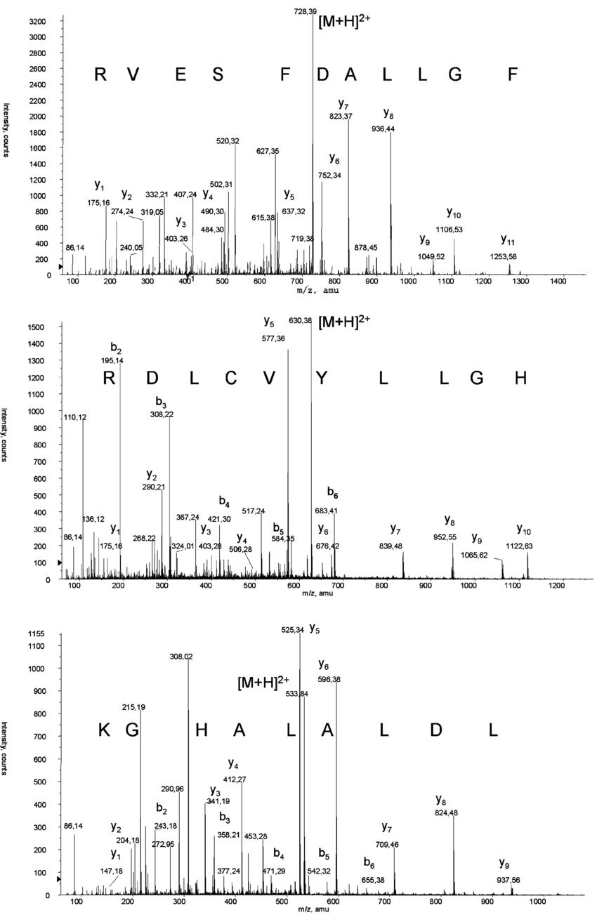 De novo sequencing of a new protein