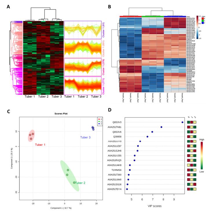 Figure 2. Statistical Analysis of JA Tuber Proteome