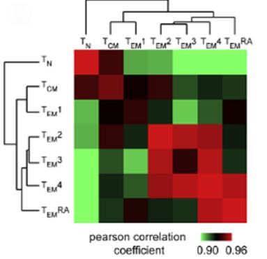 Correlation Analysis