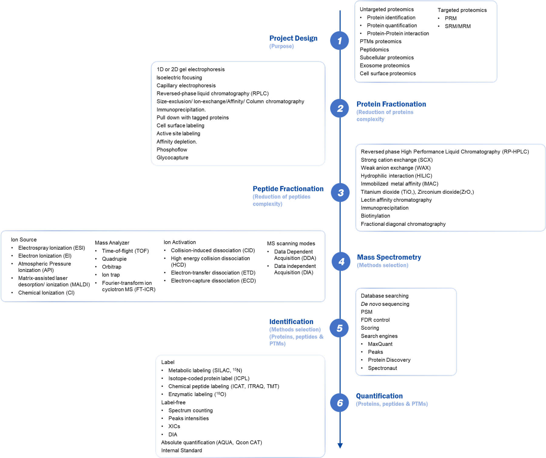 Workflow of our proteomics services