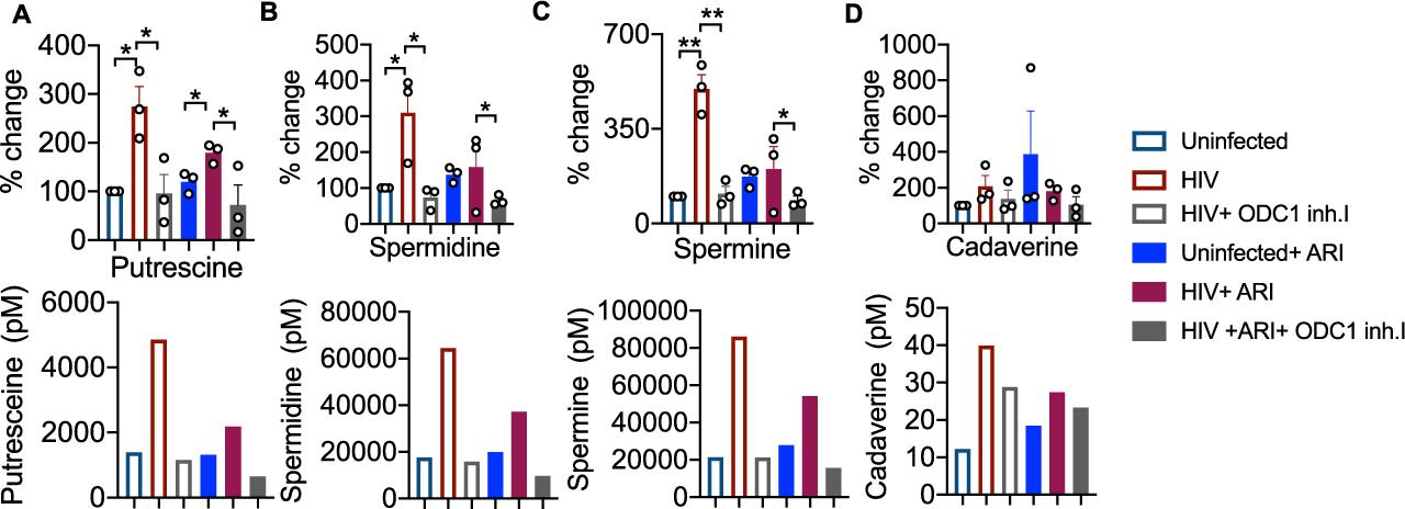 Diagram showing the contribution of the transcription factor HIF1α to tryptophan/NAD metabolism and the maintenance of resting NK cells.