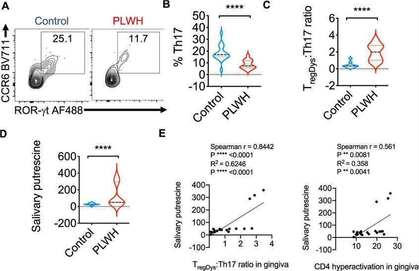 Graph illustrating the involvement of HIF1α in regulating tryptophan/NAD metabolism in splenic NK cells.