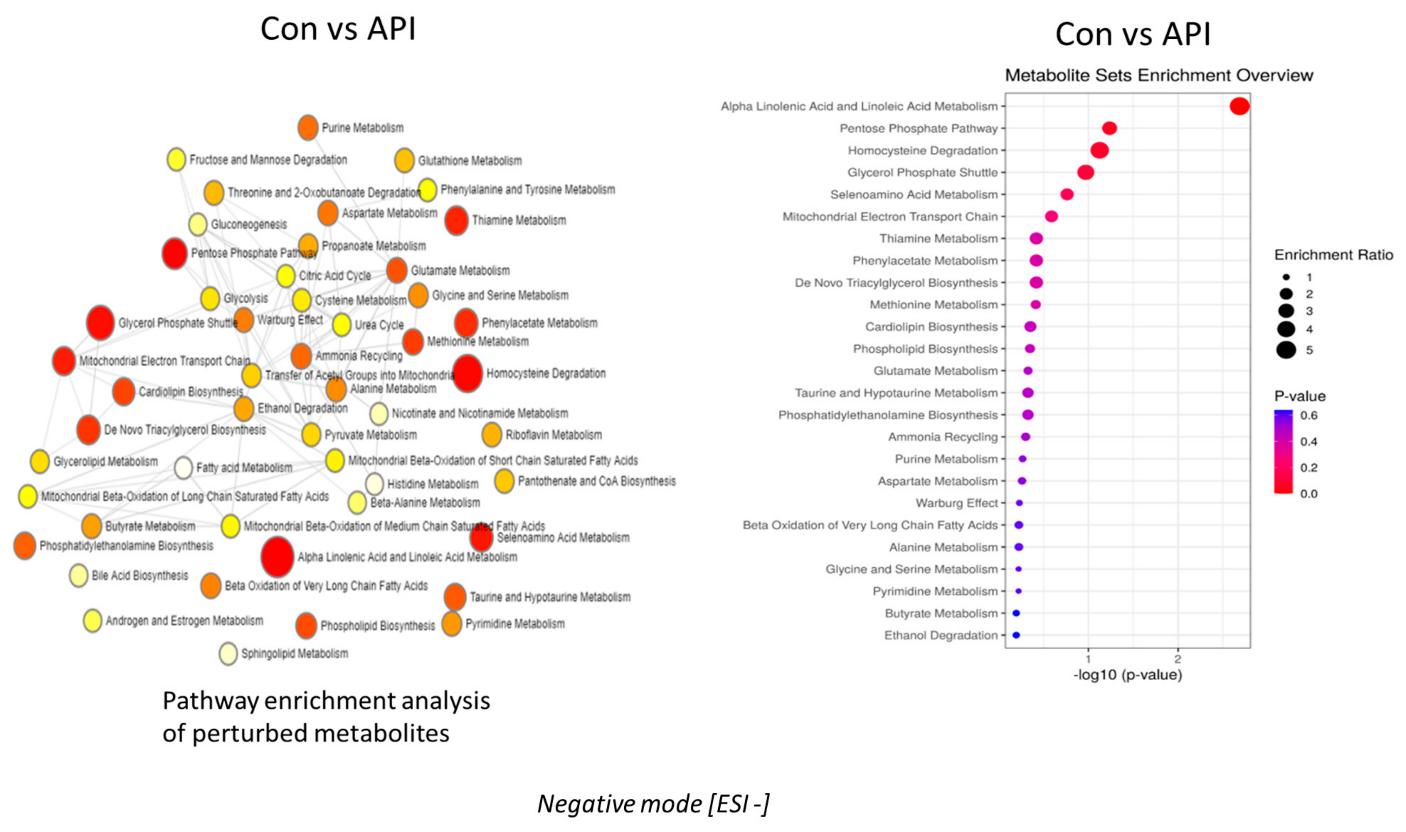 Enrichment analysis graph showing various metabolite pathways significantly altered in MEF cells after apigenin treatment.