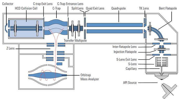 Schematic of the Q Exactive mass spectrometer