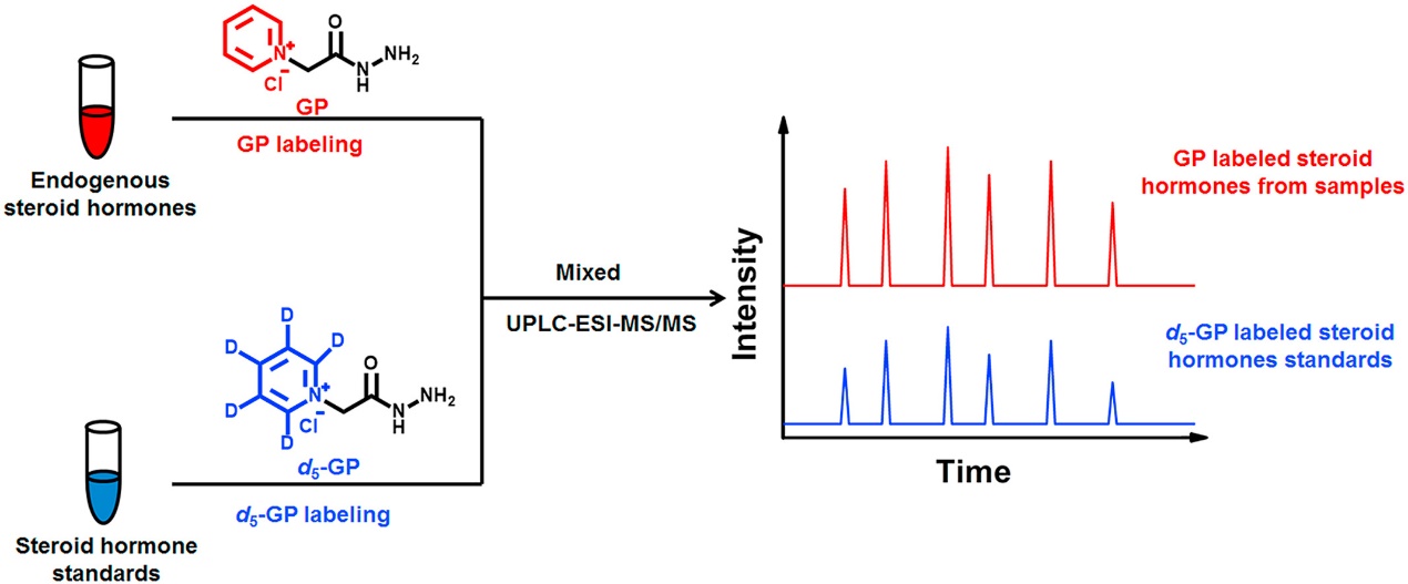 Stable Isotope Labeling in Omics Research: Techniques and Applications