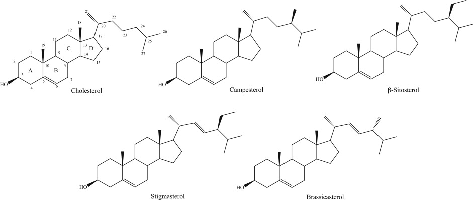 Sterol Lipids Analysis in Biotechnology and Pharmaceuticals