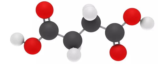 Succinic Acids