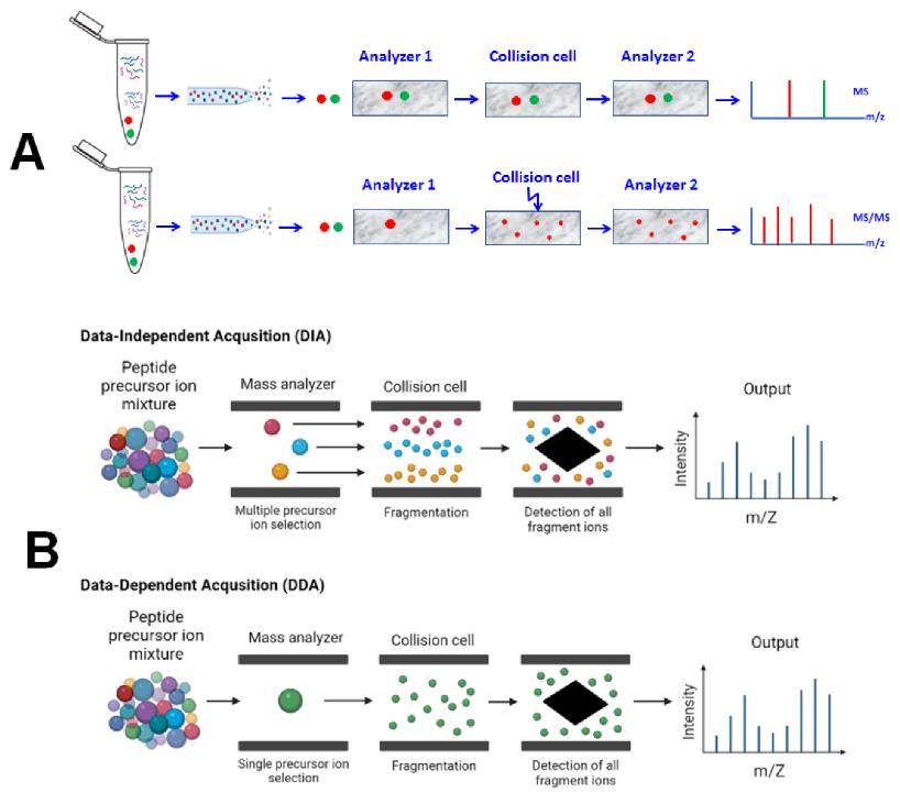 (A) Overview of analysis by Tandem Mass Spectrometry. (B)Overview of the different modes of data collection in tandem mass spectrometry.