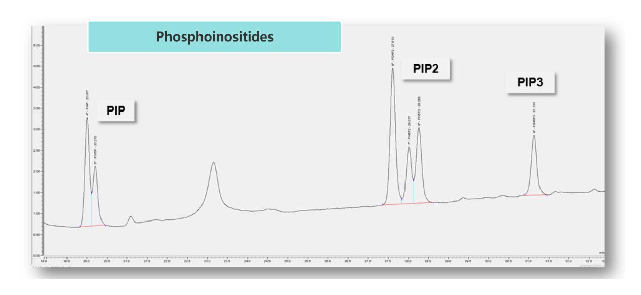 Targeted Phosphoinositides Analysis Service