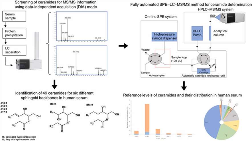 Techniques for Ceramide Analysis