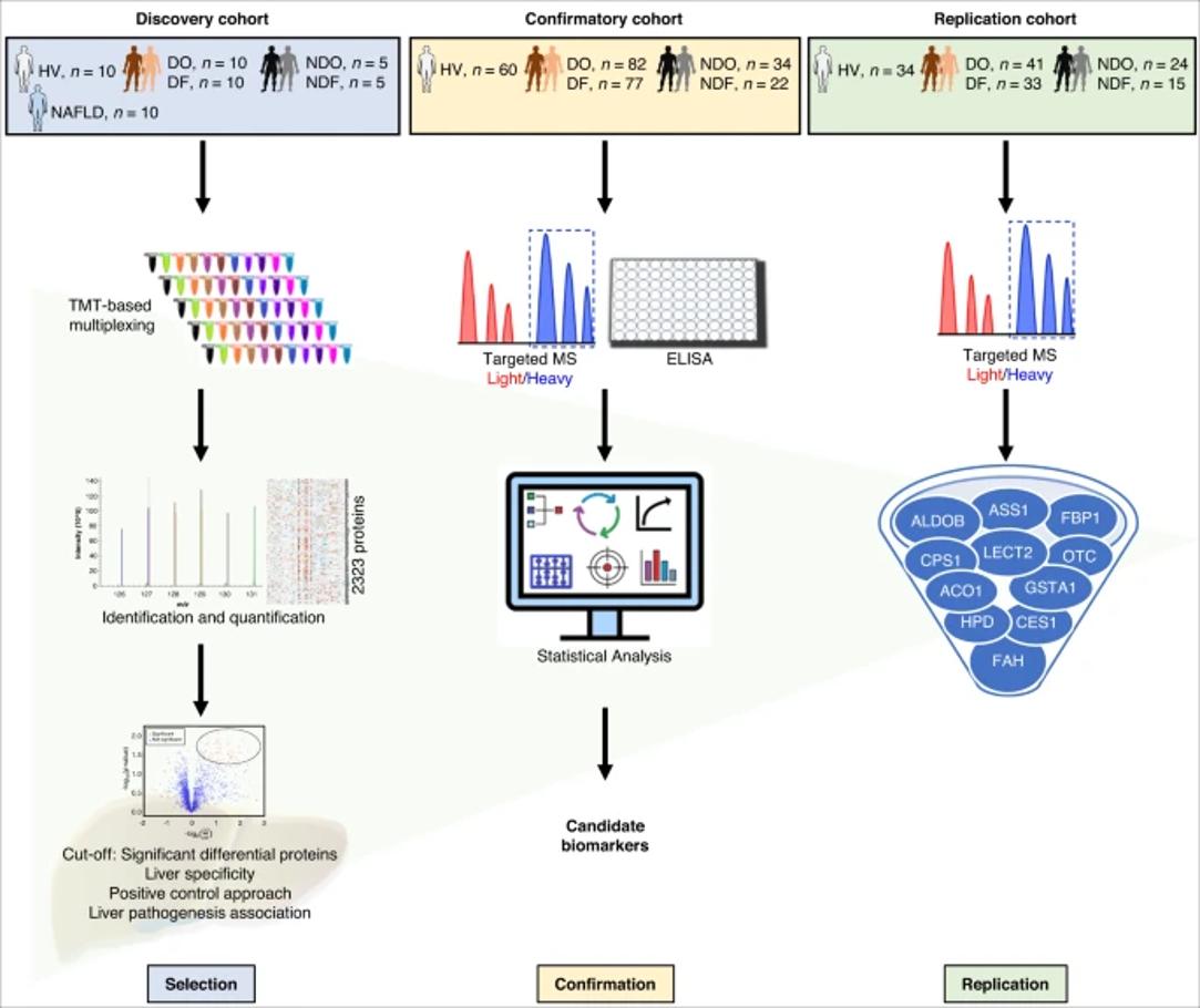 Fig. 1: Schematic overview of the strategy for discovery, confirmation, and replication of DILI candidate biomarkers.