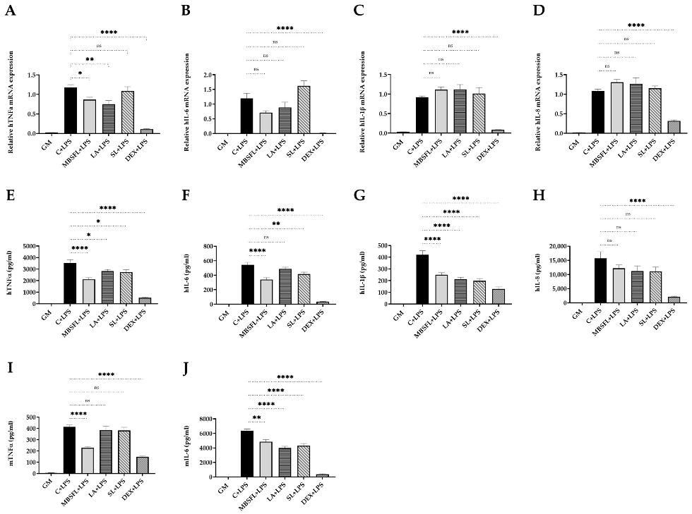 Graph showing the effects of MBSFL and C12:0 on TNFα, IL-6, IL-1β, and IL-8 levels in macrophages.